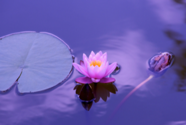 Consejería Espiritual